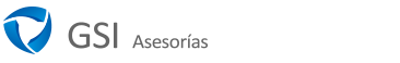 GSI Soporte